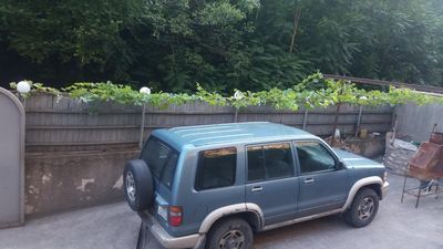 ფიროსმანი_3